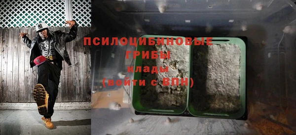 дурь Касимов