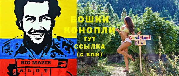 дурь Касимов